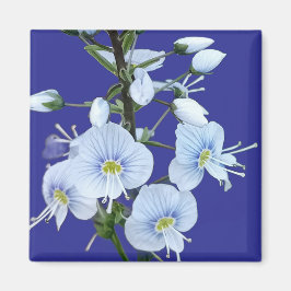 Imã Flores azuis