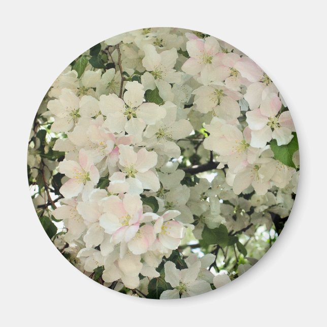 Imã Flores Brancas de Primavera Fotografia de Flores (Frente)