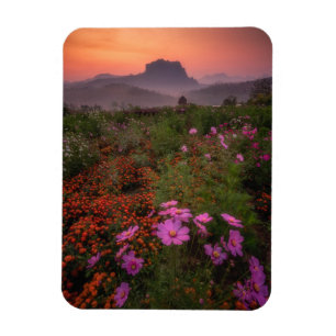 Ímã Flores Chiang Dao, Chiang Mai, Tailândia