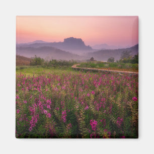 Imã Flores Chiang Dao, Chiang Mai, Tailândia