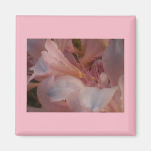 Imã Flores cor-de-rosa