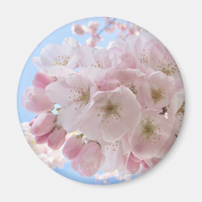 Imã Flores Cor-de-Rosa Céu Azul.  (Frente)