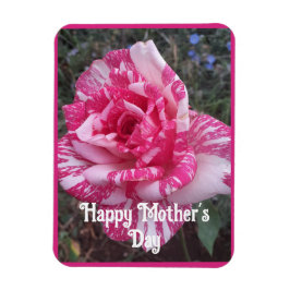 Ímã Flores Cor-de-Rosa Floral Rosa Rosas Cartão do Dia