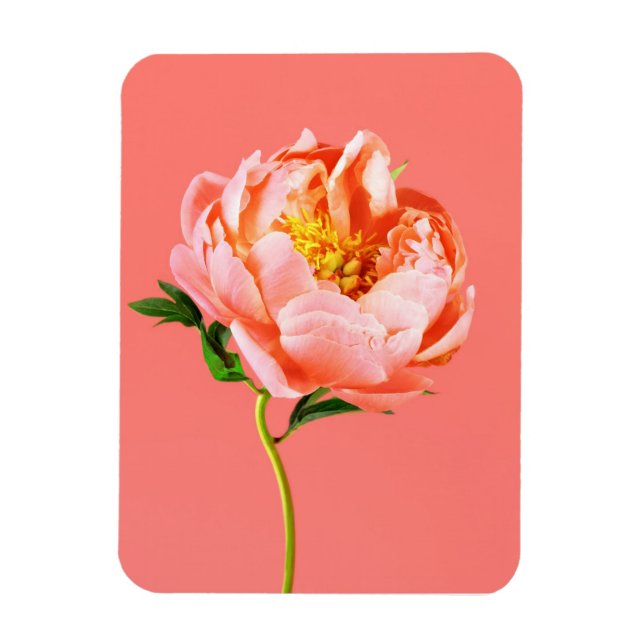Ímã Flores | Coral Peony Blossom (Vertical)