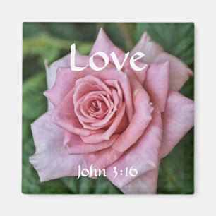 Imã Flores da Fé John 3:16 Rosa Magnet