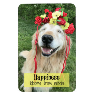 Ímã Flores da felicidade do golden retriever de dentro