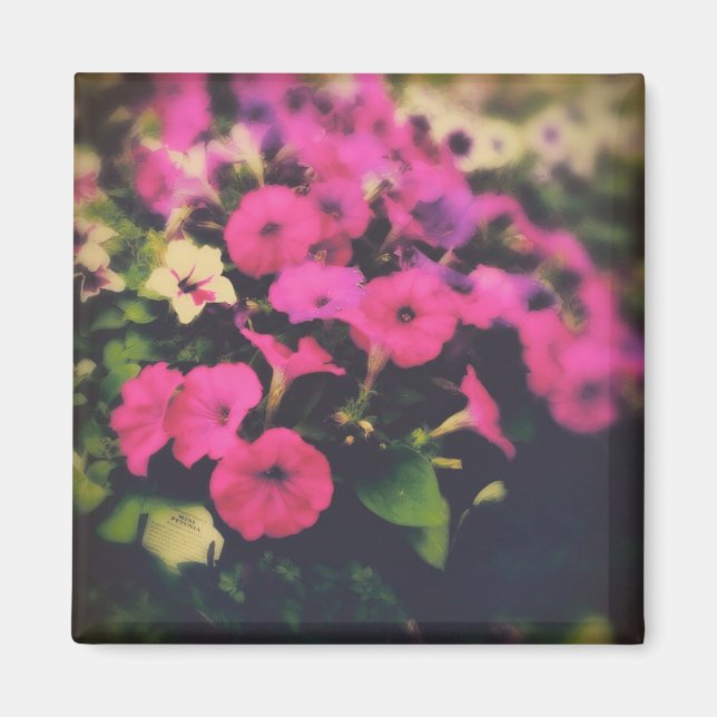 Imã Flores da Grocery Store (Frente)