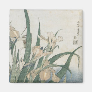 Imã Flores da íris e gafanhoto, c.1830-31
