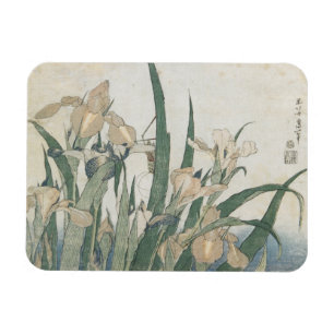 Ímã Flores da íris e gafanhoto, c.1830-31