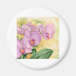 Imã Flores da orquídea do Phalaenopsis - multi