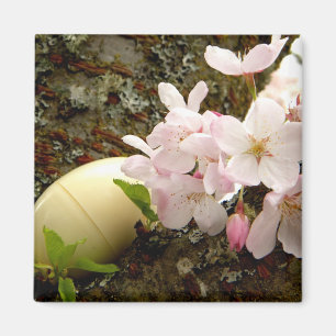 Imã Flores da páscoa