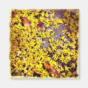Imã Flores de Arte Quirky no Filtro Retro Terrestre