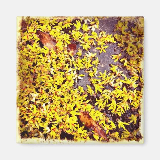 Imã Flores de Arte Quirky no Filtro Retro Terrestre (Frente)