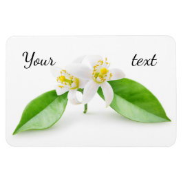 Ímã Flores de árvore laranja