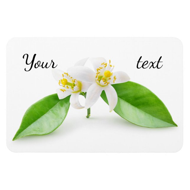 Ímã Flores de árvore laranja (Horizontal)