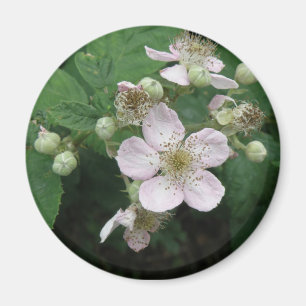 Imã Flores de Blackberry Magnet