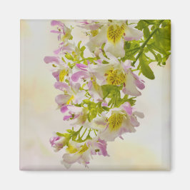 Imã Flores de borboletas