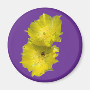 Imã Flores de Cactus