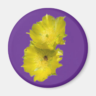 Imã Flores de Cactus