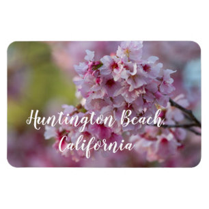 Ímã Flores de cereja na praia de Huntington