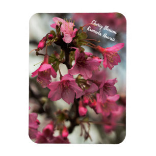 Ímã Flores de cerejeira em Havaí