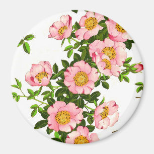 Imã Flores de cerejeira japonesas, rosa e ouro do