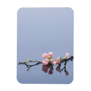 Ímã Flores de cerejeira na água