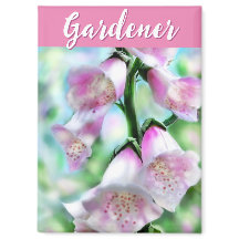 Flores de Dedaleira Floral Rosa Personalizado Jard