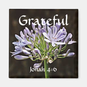 Imã Flores de Fé Jonah Agapanthus Magnet