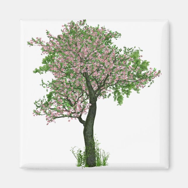 Imã Flores de Flores de Cereja Folhas de Árvore Folhas (Frente)