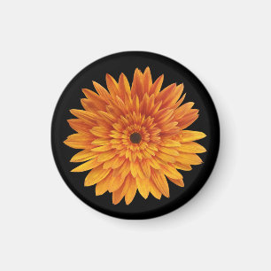 Imã flores de girassol