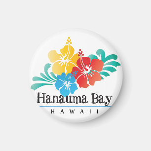 Imã Flores de Havaí