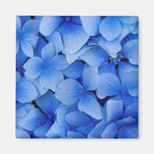 Imã Flores de Hydrangea Azul