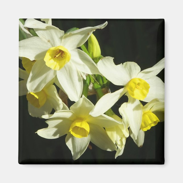 Imã Flores de inverno (Frente)