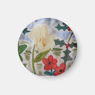 Imã Flores de inverno e anã Holly