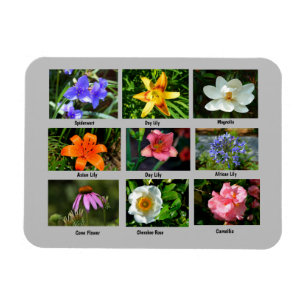 Ímã Flores de jardim vibrantes