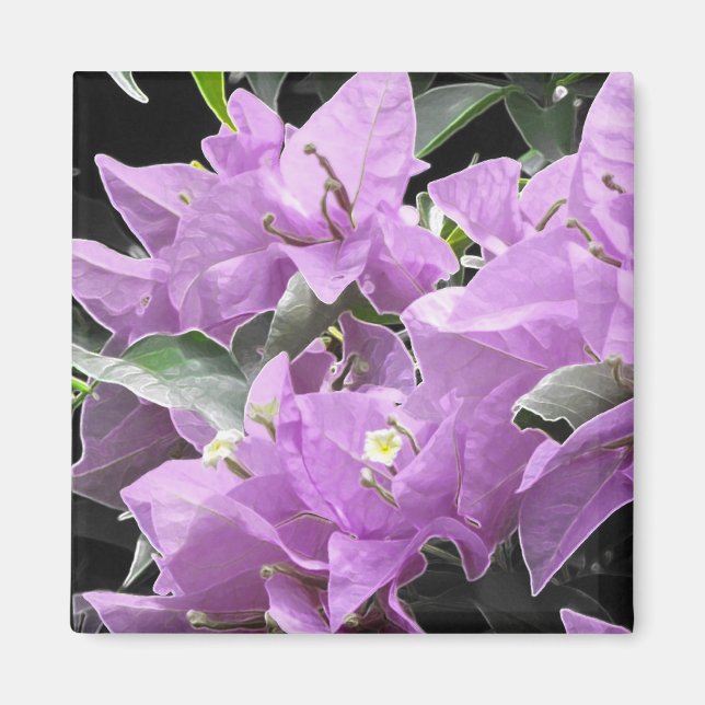 Imã Flores de lavanda (Frente)