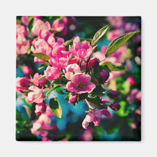 Imã Flores De Maçã De Caranguejo Rosa