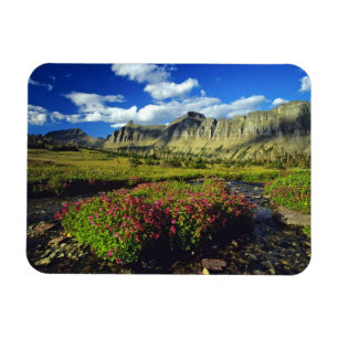 Ímã Flores de macaco em Logan Pass no Glacier National