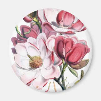 Imã Flores de Magolia Rosa