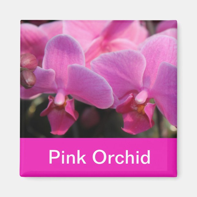 Imã flores de orquídea rosa (Frente)