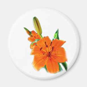 Imã Flores de ouro