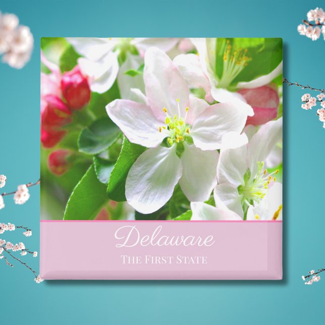 Imã Flores de Pessegueiro de Delaware Primeiro Estado (Criador carregado)