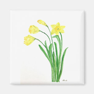 Imã Flores de primavera floral amarelas daffodils