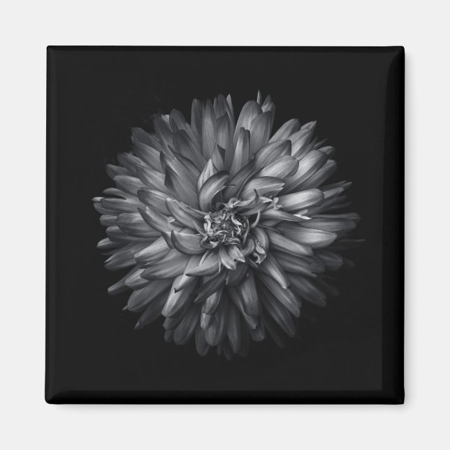 Imã Flores De Quintal A Preto E Branco 20 (Frente)