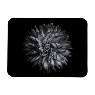 Ímã Flores De Quintal A Preto E Branco 20