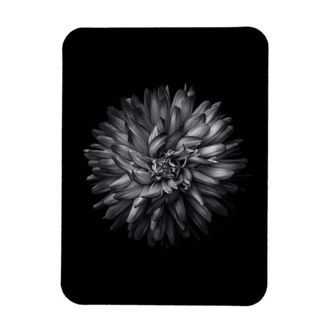 Ímã Flores De Quintal A Preto E Branco 20 (Vertical)