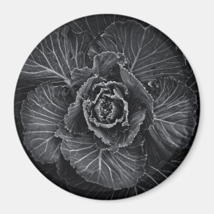 Imã Flores De Quintal A Preto E Branco No 108