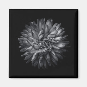 Imã Flores De Quintal Em Preto E Branco 20