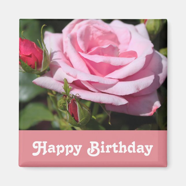 Imã flores de rosa cor-de-rosa feliz aniversário. com  (Frente)